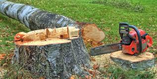 Best Hazardous Tree Removal  in Riverdale, GA